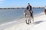 andy_horse1.jpg