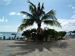 DSCF0061.JPG