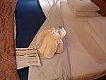 DSCF0102.JPG