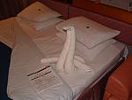 DSCF0137.JPG