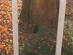 IMG_9556.JPG