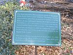 IMG_9560.JPG