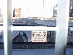 IMG_9565.JPG