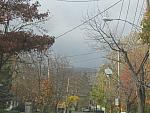 IMG_9584.JPG