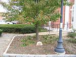 IMG_9587.JPG