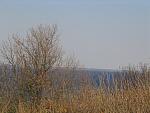 IMG_9612.JPG