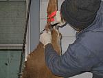IMG_9622.JPG