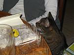IMG_9635.JPG