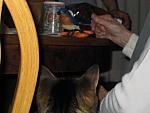 IMG_9637.JPG