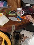 IMG_9639.JPG