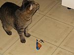 IMG_9640.JPG
