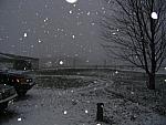 IMG_9647.JPG