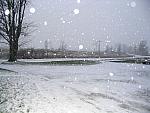 IMG_9648.JPG