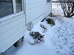 IMG_9656.JPG