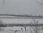 IMG_9681.JPG