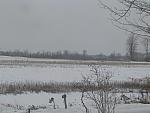 IMG_9682.JPG
