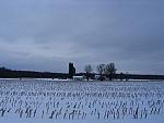 IMG_9686.JPG