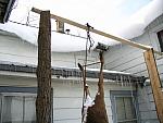 IMG_9687.JPG