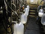 IMG_9691.JPG
