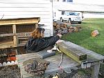 IMG_9701.JPG