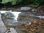 DSCF0032.JPG