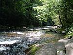 DSCF0045.JPG