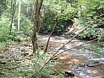 DSCF0048.JPG