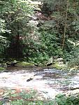 DSCF0050.JPG