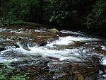 DSCF0055.JPG