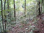 DSCF0058.JPG