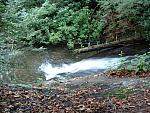 DSCF0060.JPG