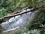 DSCF0061.JPG
