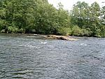 DSCF0063.JPG