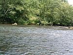 DSCF0064.JPG