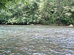 DSCF0065.JPG