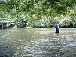 DSCF0069.JPG