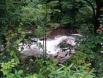 DSCF0072.JPG