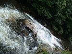 DSCF0078.JPG
