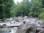 DSCF0080.JPG