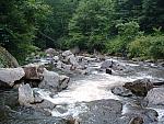 DSCF0082.JPG