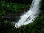 DSCF0094.JPG