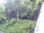 DSCF0095.JPG