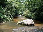 DSCF0124.JPG