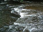 DSCF0134.JPG