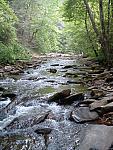DSCF0038.JPG
