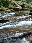 DSCF0039.JPG