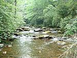 DSCF0044.JPG