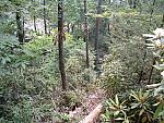DSCF0055.JPG