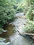 DSCF0057.JPG