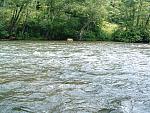 DSCF0071.JPG